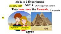 初中Unit 2  They have seen the Pyramids.课文课件ppt