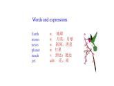 2020-2021学年外研版八年级英语下册Module3Unit1课件