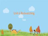 译林八年級英語上冊 Unit 6 Birdwatching 课时7 PPT课件+教案