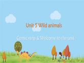 译林八年級英語上冊 Unit 5 Wild animals 课时1 PPT课件+教案