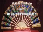 Module6HobbiesUnit1课件2021-2022学年外研版英语八年级下册