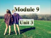 外研英语八年级下册Module9Unit3(共38张PPT)