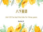 人教go for it 八年级下英语unit 10 section B 知识点精讲