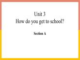七年级英语下册RJ版课件 Unit 3 How do you get to school