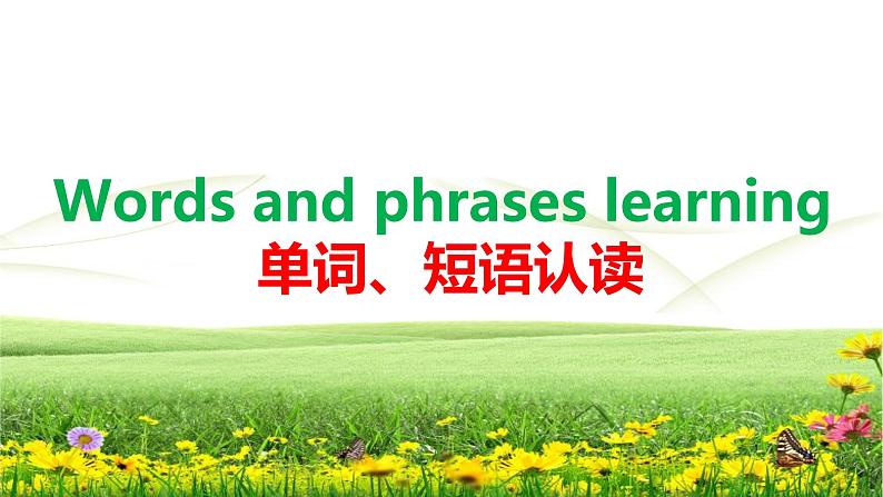 深圳沪教牛津版七年级下 7B Unit 4 Save the trees（Vocabulary)第4页