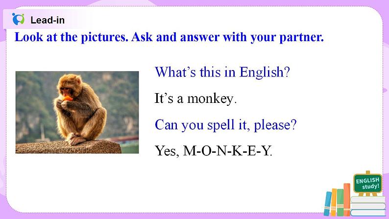 Starter Module3 Unit2 Can you help me, please 课件 PPT+教案05