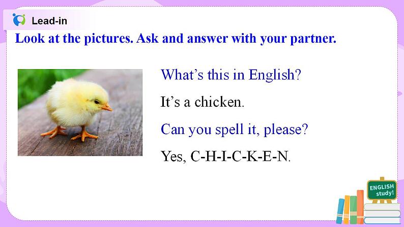 Starter Module3 Unit2 Can you help me, please 课件 PPT+教案07
