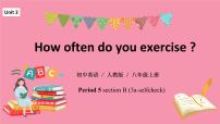 人教新目标 (Go for it) 版八年级上册Section B背景图课件ppt