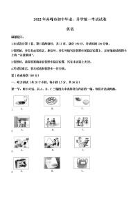 2022年内蒙古赤峰市中考英语真题(word版无答案)