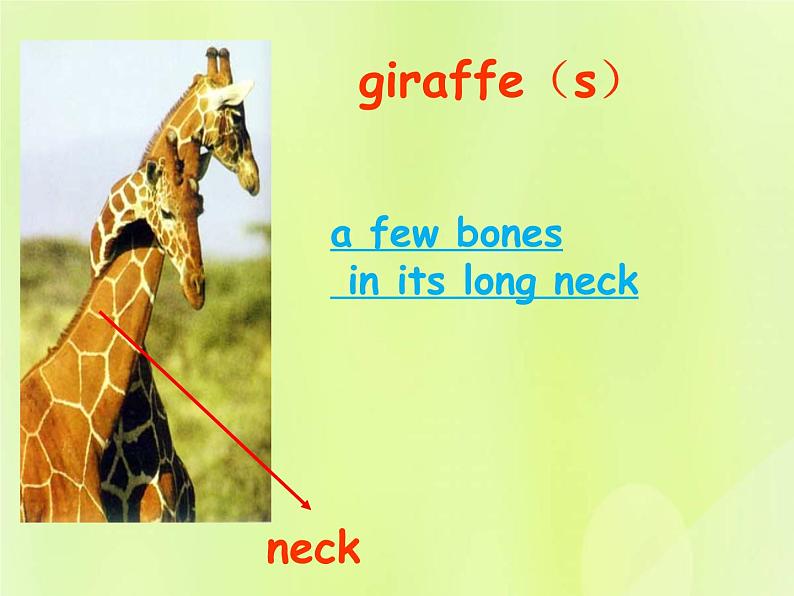 牛津译林版七年级英语下册unit5 amazing things 第5课时integratedskills课件05