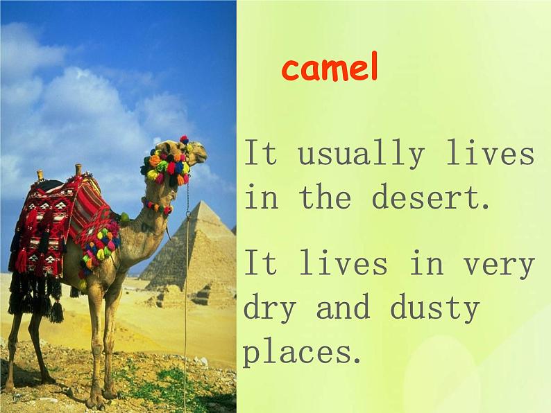 牛津译林版七年级英语下册unit5 amazing things 第5课时integratedskills课件06