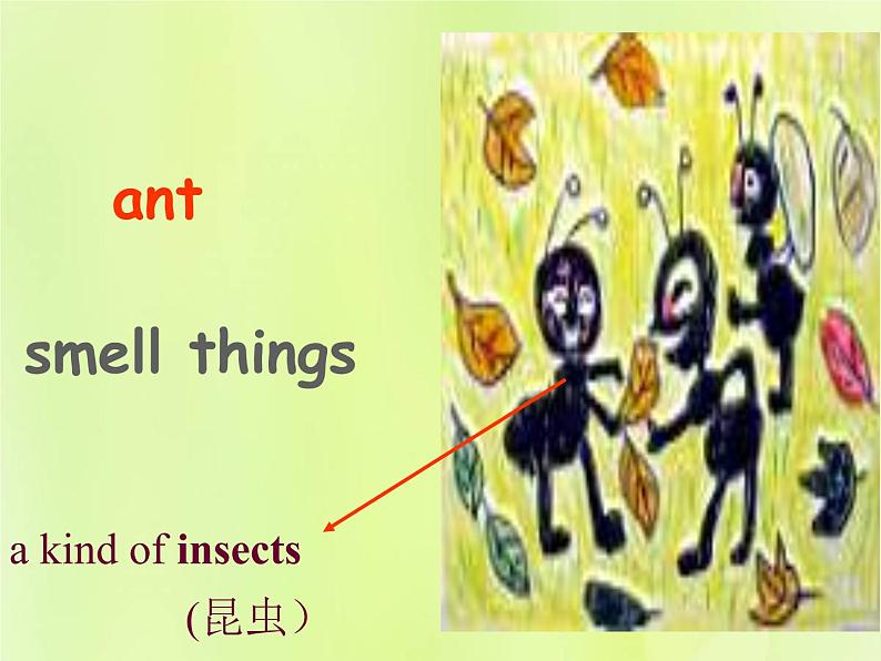 牛津译林版七年级英语下册unit5 amazing things 第5课时integratedskills课件07