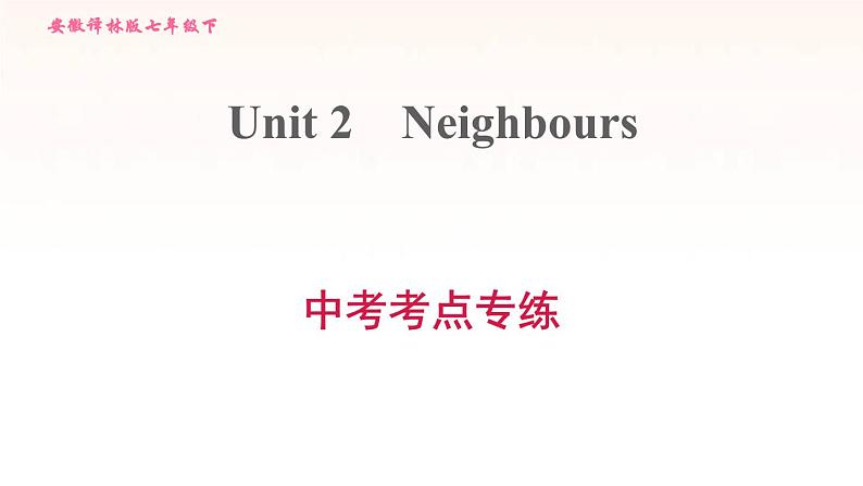 安徽专用牛津译林版七年级英语下册unit2 neighbours中考考点专练课件01