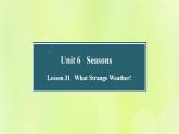 冀教版七年级英语下册Unit 6 Seasons Lesson 31 What Strange Weather课件