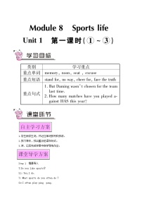 初中英语外研版 (新标准)九年级上册Module 8 Sports lifeUnit 1 Daming wasn’t chosen for the team last time.第1课时教学设计