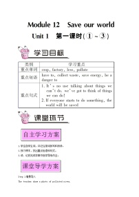 外研版 (新标准)九年级上册Module 12 Save our worldUnit 1 If everyone starts to do something the world will be sa