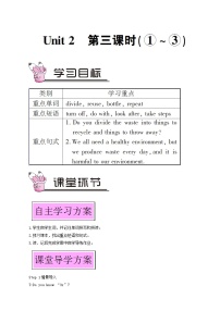 初中英语外研版 (新标准)九年级上册Unit 2 Repeat these three words daily: reduce, reuse and recycle.第3课时教案