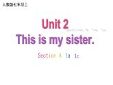 Unit 2 This is my sister Section A 1a 1c 语法知识课件 2022-2023学年人教版英语七年级上册