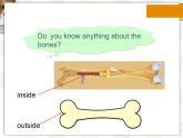 北师大版8上英语Unit4《Lesson 12 Healthy Bones》第一课时 课件