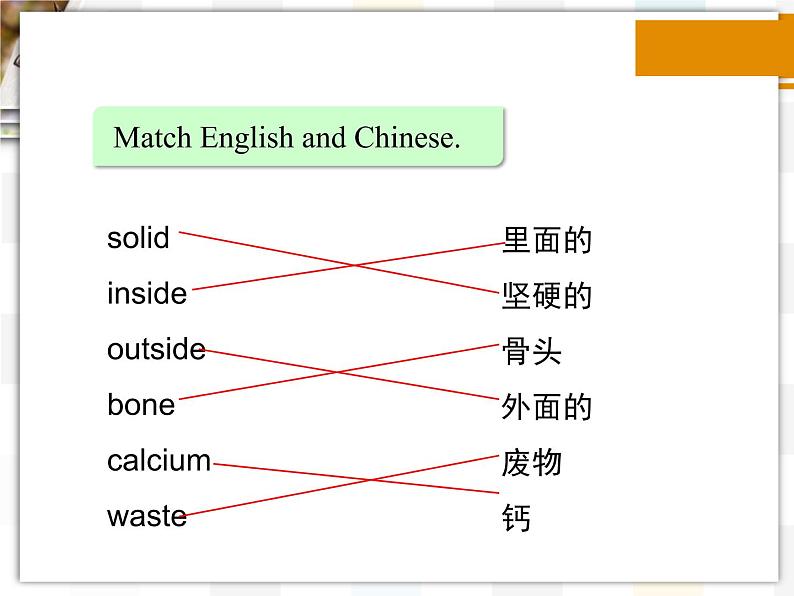 北师大版8上英语Unit4《Lesson 12 Healthy Bones》第一课时 课件05