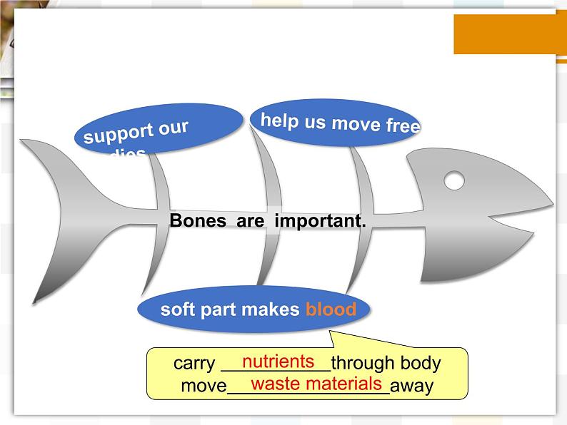 北师大版8上英语Unit4《Lesson 12 Healthy Bones》第二课时 课件第3页