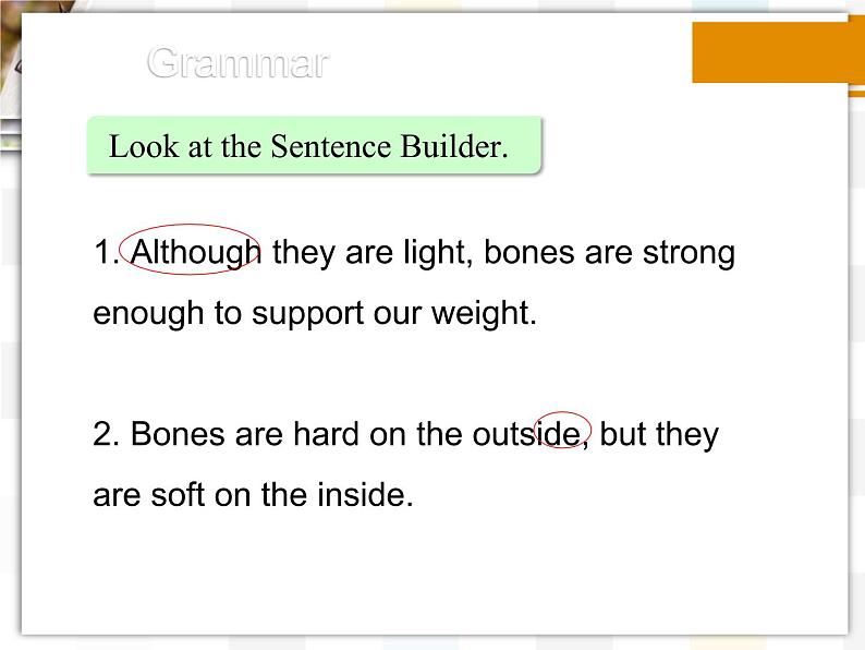 北师大版8上英语Unit4《Lesson 12 Healthy Bones》第二课时 课件第6页