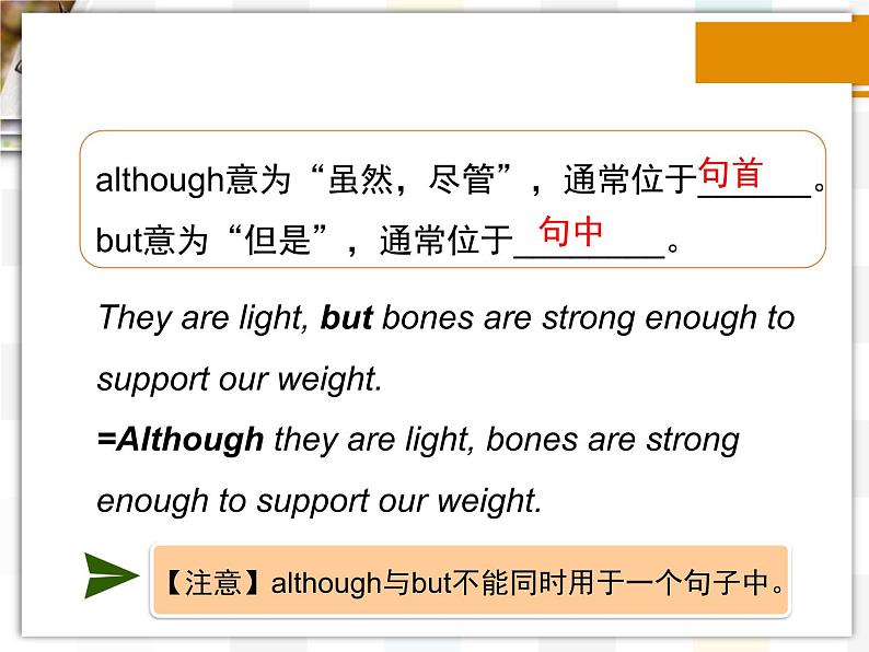 北师大版8上英语Unit4《Lesson 12 Healthy Bones》第二课时 课件第7页