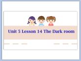 北师大9年级Unit 5《Lesson 14 The Dark room》课件