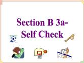 鲁教版五四制6上英语Unit8__Section__B（3a-self__check）__精品课件（无音频素材）