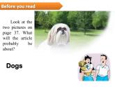 牛津上海版九年級英語上冊教學(xué)課件：Unit 3 reading