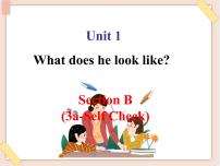 鲁教版 (五四制)七年级上册Unit 1  What does he look like ？Section B课堂教学课件ppt