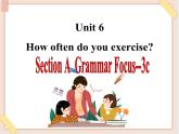 鲁教版五四制7上英语（最新版）Unit6_Section A  Grammar Focus--3c精品课件（无音频素材）