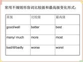 鲁教版五四制7上英语（最新版）Unit7语法参考课件（无音频素材）