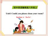 鲁教版五四制8上英语Unit1_SectionA（3a-3c）精品课件