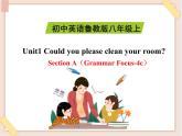 鲁教版五四制8上英语Unit1_SectionA（Grammar_Focus-4c）精品课件