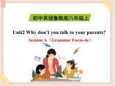 鲁教版五四制8上英语Unit2_SectionA（Grammar_Focus-4c）精品课件