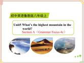 鲁教版五四制8上英语Unit5_SectionA（Grammar_Focus-4c）精品课件