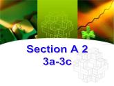 鲁教版五四制8上英语Unit7_SectionA2（3a-3c）参考课件