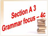 鲁教版五四制8上英语Unit8_SectionA3（Grammar_focus-4c）参考课件