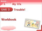 牛津上海版英語八年級上冊課件：Unit3-workbook