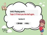 Unit 1 Playing Sports 《Topic2 SectionB》课件+教案