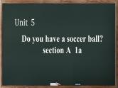Unit 5 Do you have a soccer ball section A 1a  Grammar Focus 2022-2023学年人教版英语七年级上册课件