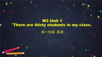 初中英语外研版 (新标准)七年级上册Unit 1 There are thirty students in my class.背景图课件ppt