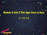 外研版英语7年级上册 M6 Unit 2 The tiger lives in Asia-2PPT 课件