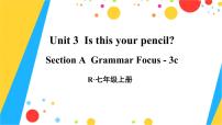 2021学年Section A图片ppt课件