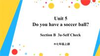 初中英语人教新目标 (Go for it) 版七年级上册Unit 5 Do you have a soccer ball?Section B教课内容ppt课件