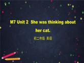 外研版英语8年级上册 M7 Unit 2 She was thinking about her cat PPT课件