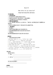 初中英语人教新目标 (Go for it) 版八年级上册Section B学案