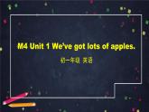外研版英语7年级上册 M4 Unit 1 We've got lots of apples-2PPT 课件