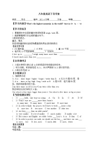 人教新目标 (Go for it) 版八年级下册Section B导学案